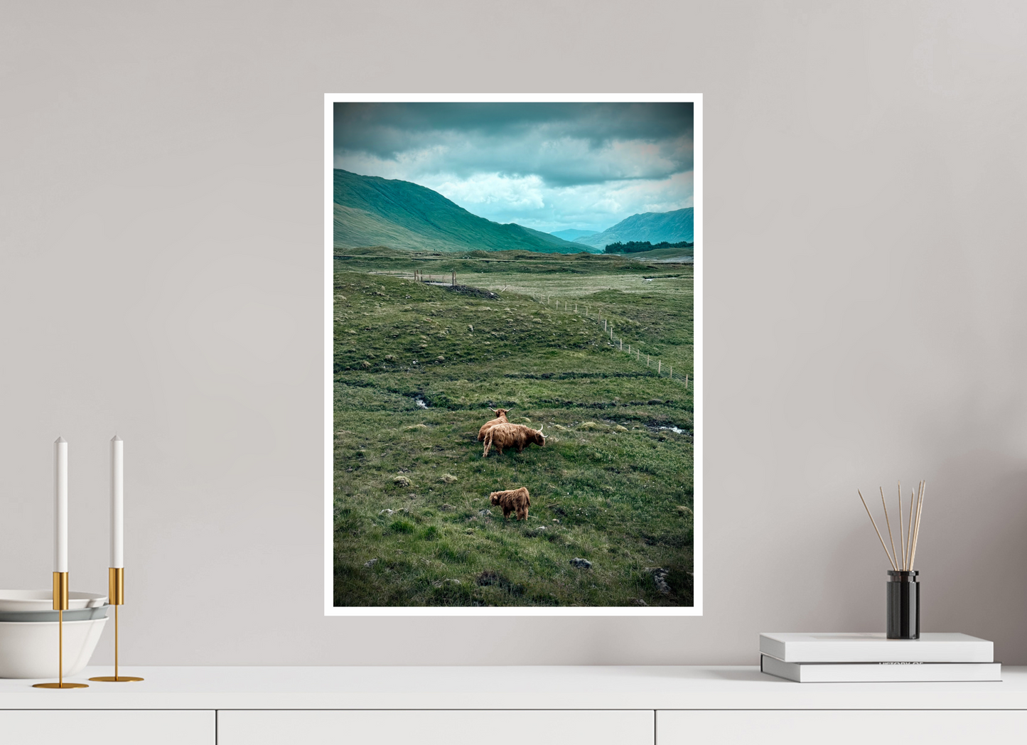 40 x 56 cm, Brillante Les vaches des Highlands