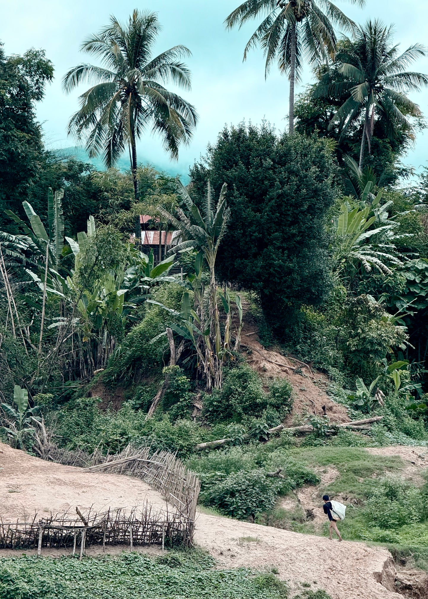 Main image Un paysan au Laos